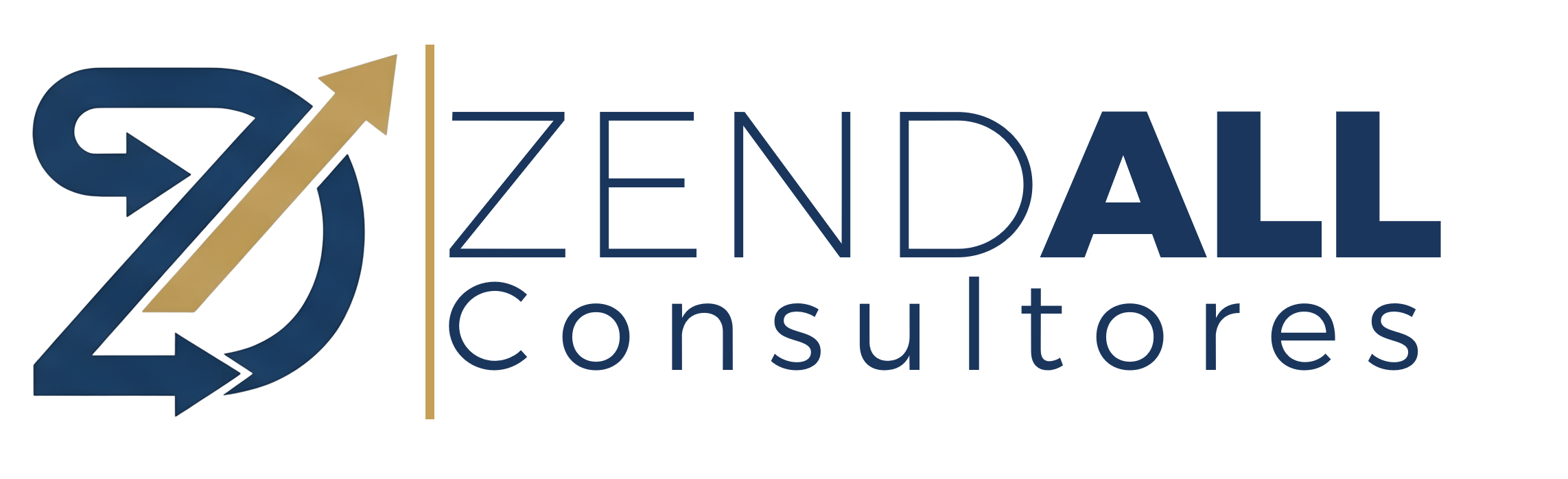 Zendall Consultores
